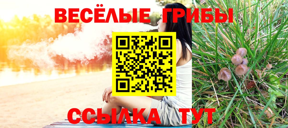 Армавир  Галлюциногенные грибы GOLDEN TEACHER  Вход с VPN  Галлюциногенные грибы Magic Shrooms 